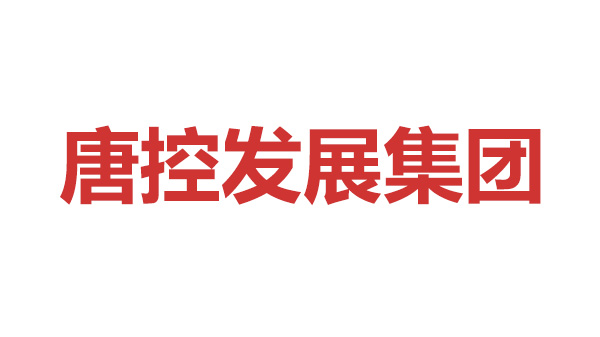 唐控发展集团